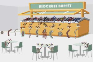 Biocrust-Buffet-Illustration_v4_6x4-1